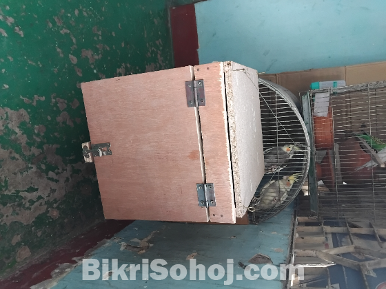 কোকাটেল